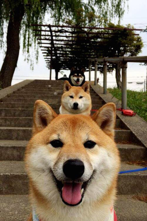 西甲国家德比之夜，利拉德扛起全队，英雄交响曲中的不眠指挥家