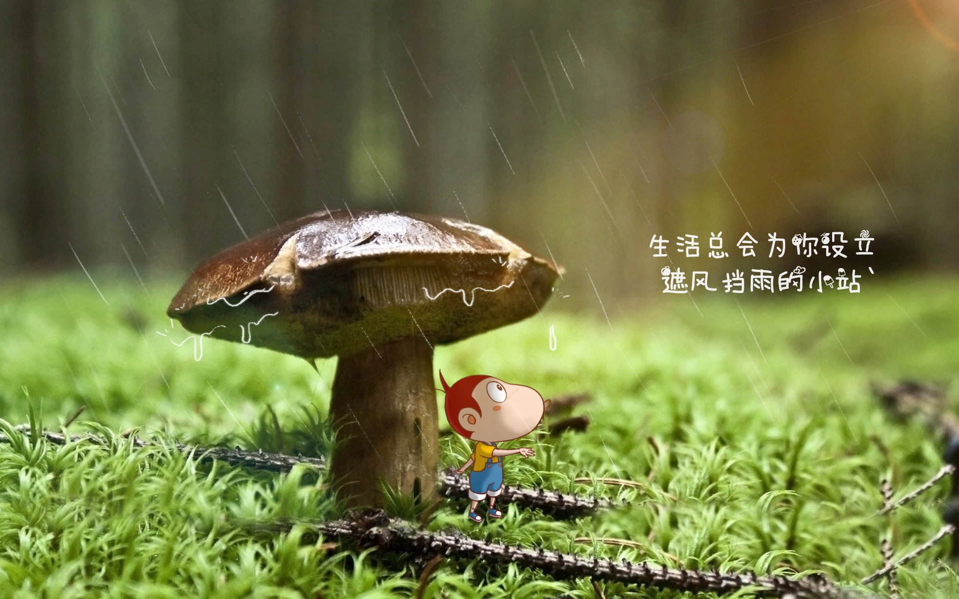 雷火电竞下载-唯一性的战衣，当基耶萨为巴西披上绝杀之冠