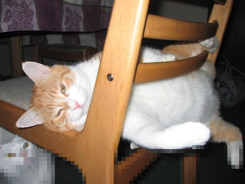 孤星与群狼，当个人英雄主义在数据迷雾中隐去