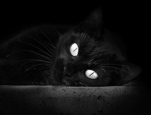 欧冠半决赛之夜，武切维奇用篮球征服了足球的圣殿