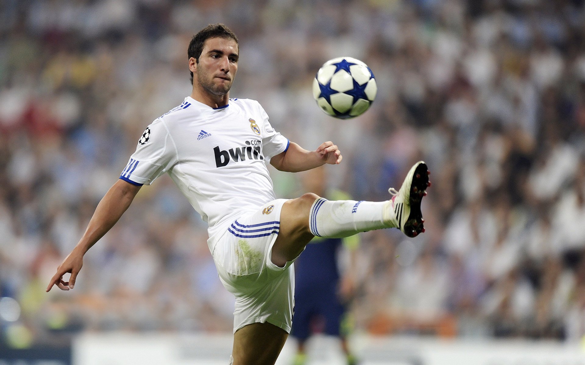 跨界王者,佛罗伦萨足球横扫葡萄牙,厄德高篮球西决生死战称雄