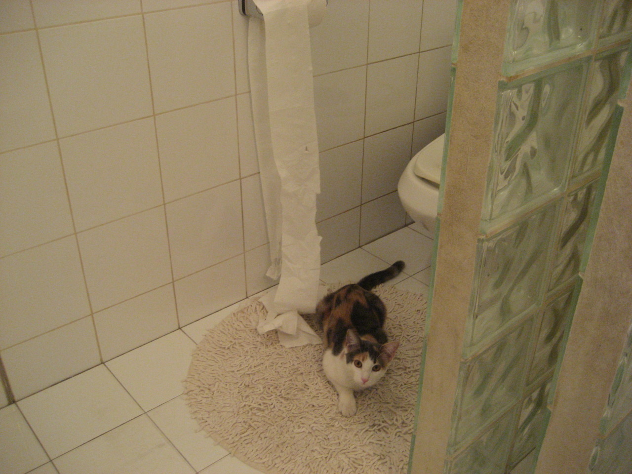 雷火电竞网址-卢卡库的矛与新月之盾，一场决定欧冠命运的中东暗战