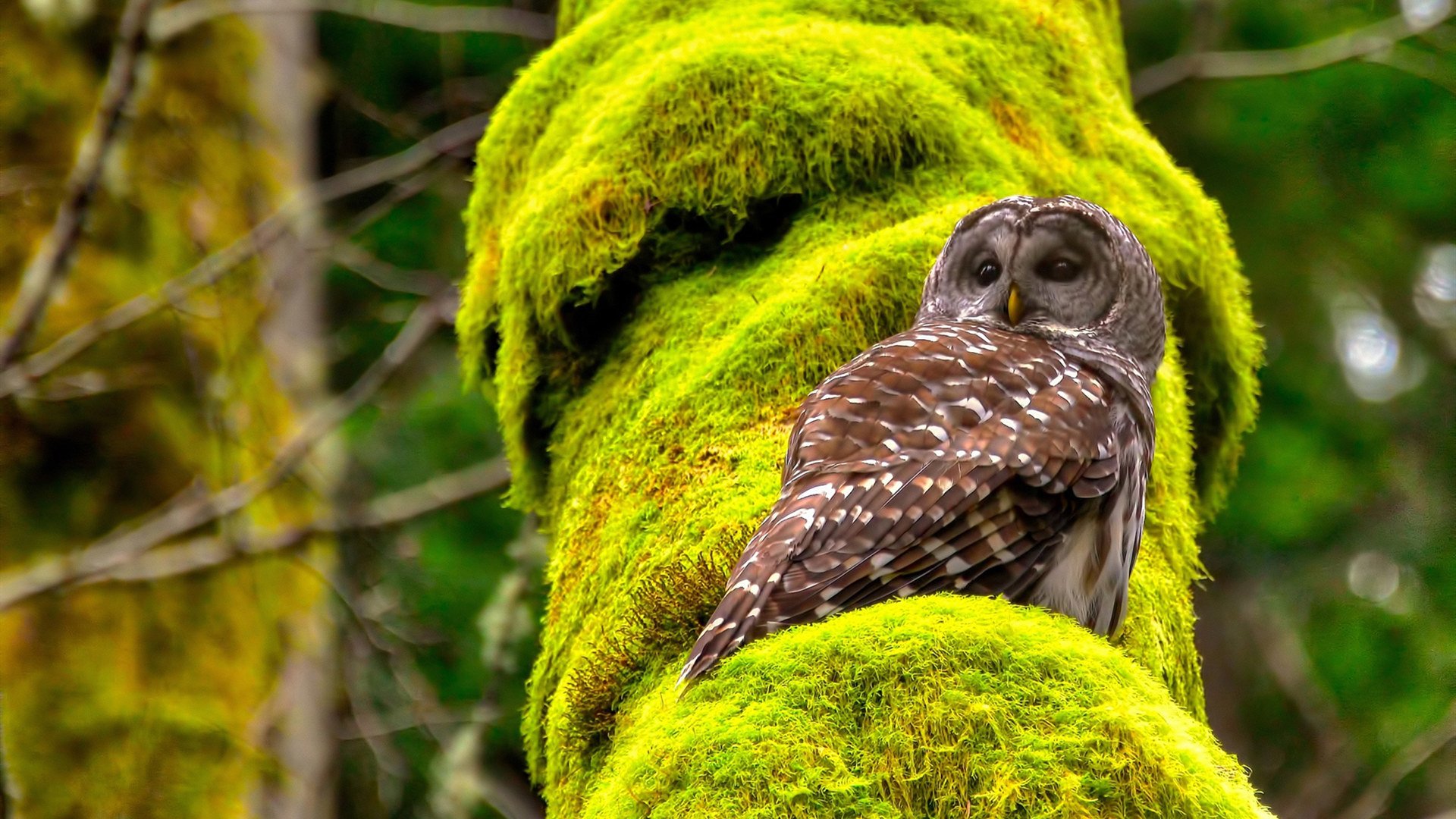 利剑出鞘,拉什福德以攻防转换核心之姿,撕裂挪威与哥斯达黎加的战术僵局