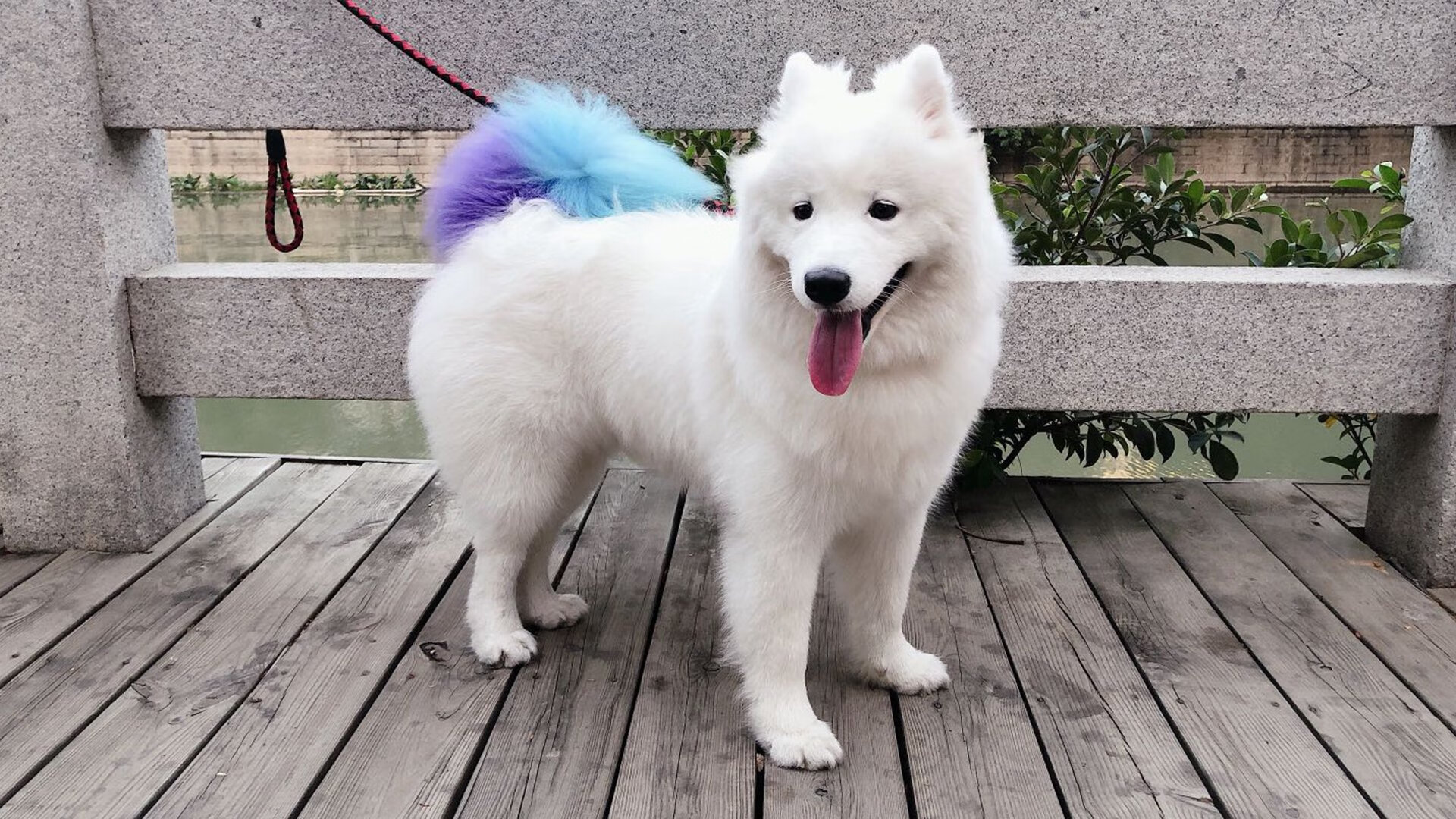 跨界约战引爆赛场，爱德华兹59秒定乾坤，凯尔特人闪电战击溃浙江队