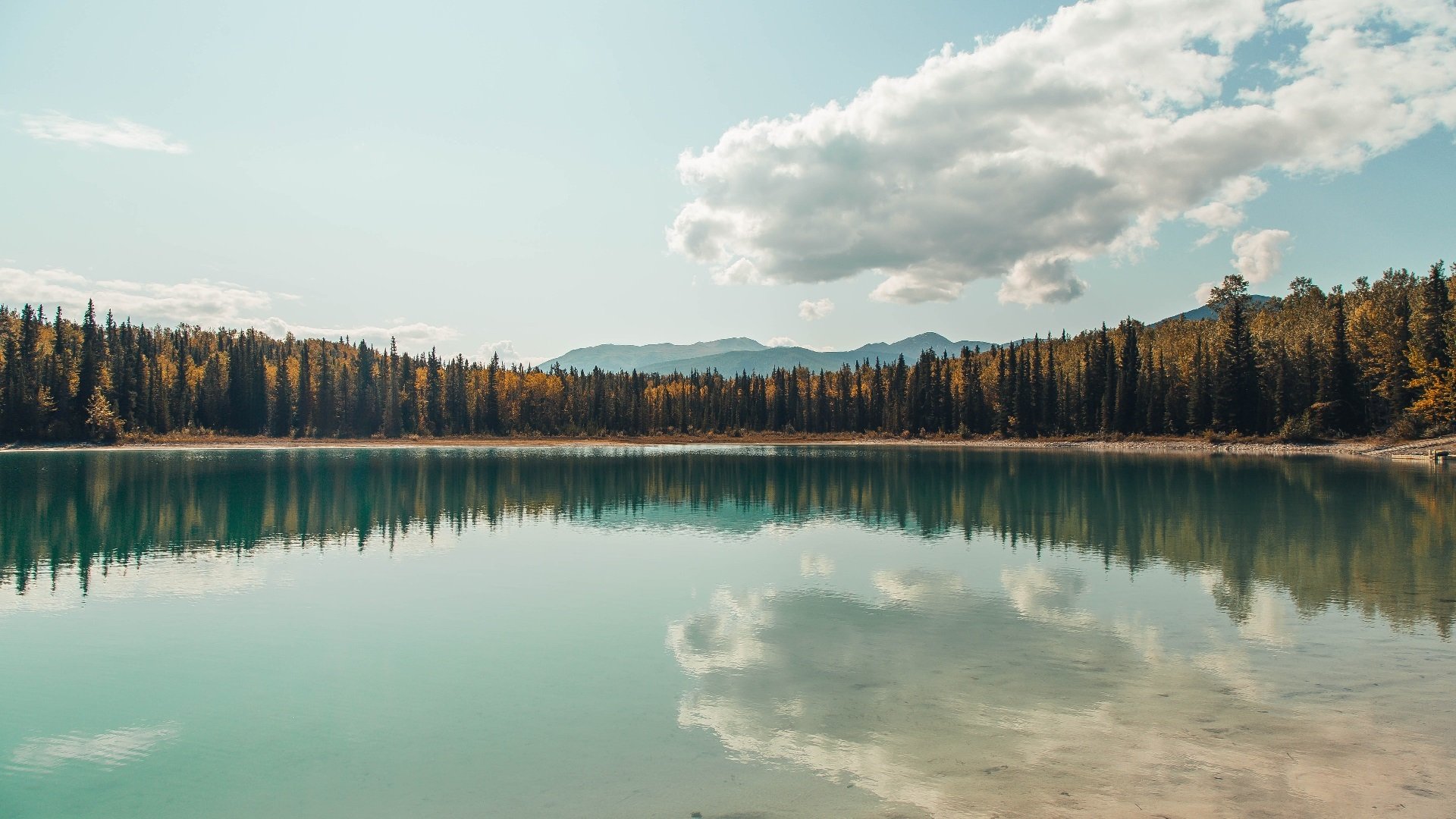金戈铁马！奥运关键战之夜，金玟哉筑起唯一性长城