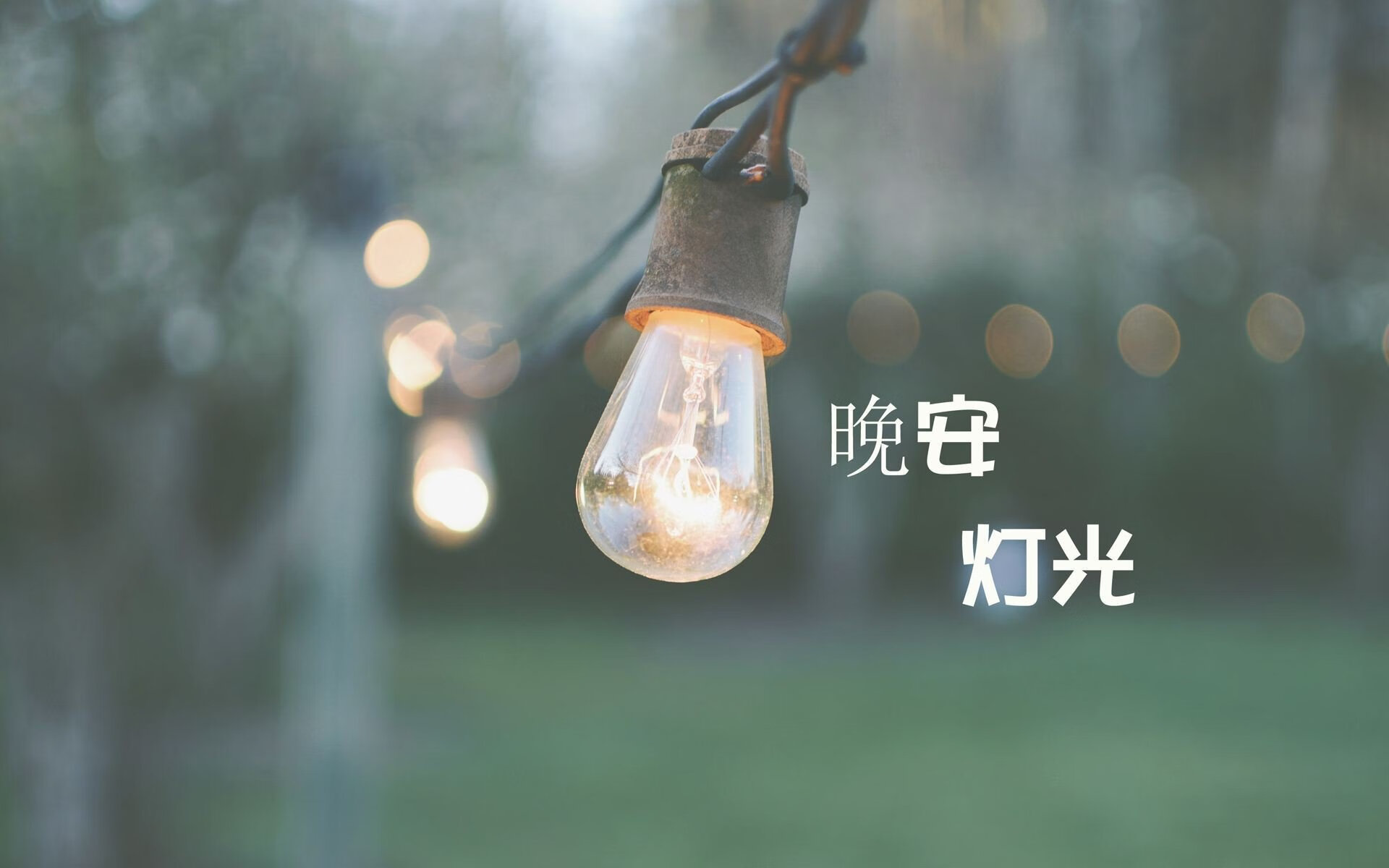 唯一性的悖论,当荷兰的逆转史诗,刻上库尔图瓦的孤星之名
