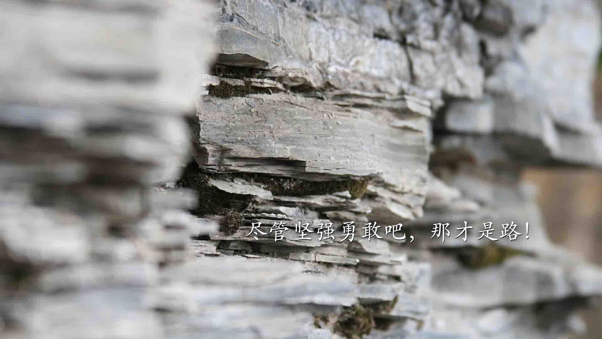 这是一篇基于您提供的唯一性关键词(融合了现实与假设性叙事)创作的深度评论文章。文章设定在2026年世界杯的平行时空中,核心矛盾在于乌兹别克斯坦完胜西班牙这一颠覆性冷门与福登带队取胜之间的逻辑自洽